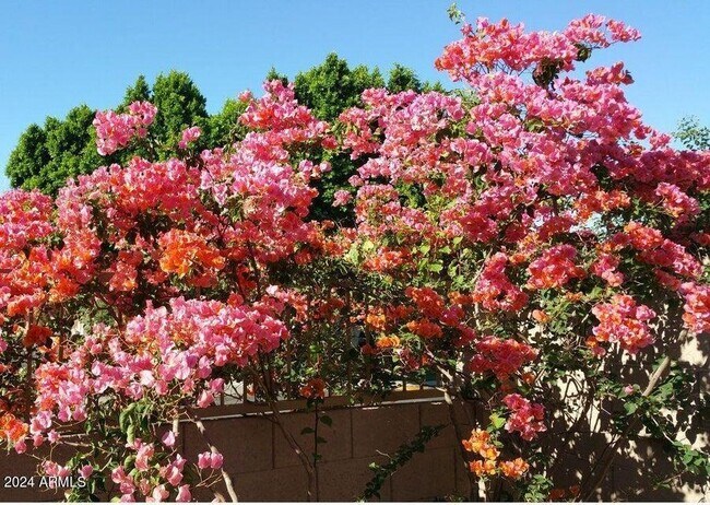 Building Photo - 3332 N Sunaire