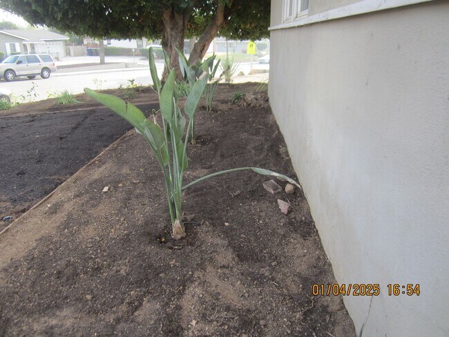Building Photo - Immaculate 3 bedroom Home University Highlands Riverside