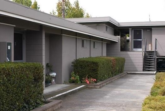 Olive Tree Apartments Sunnyvale Ca Olive Tree Apartments Sunnyvale Ca
