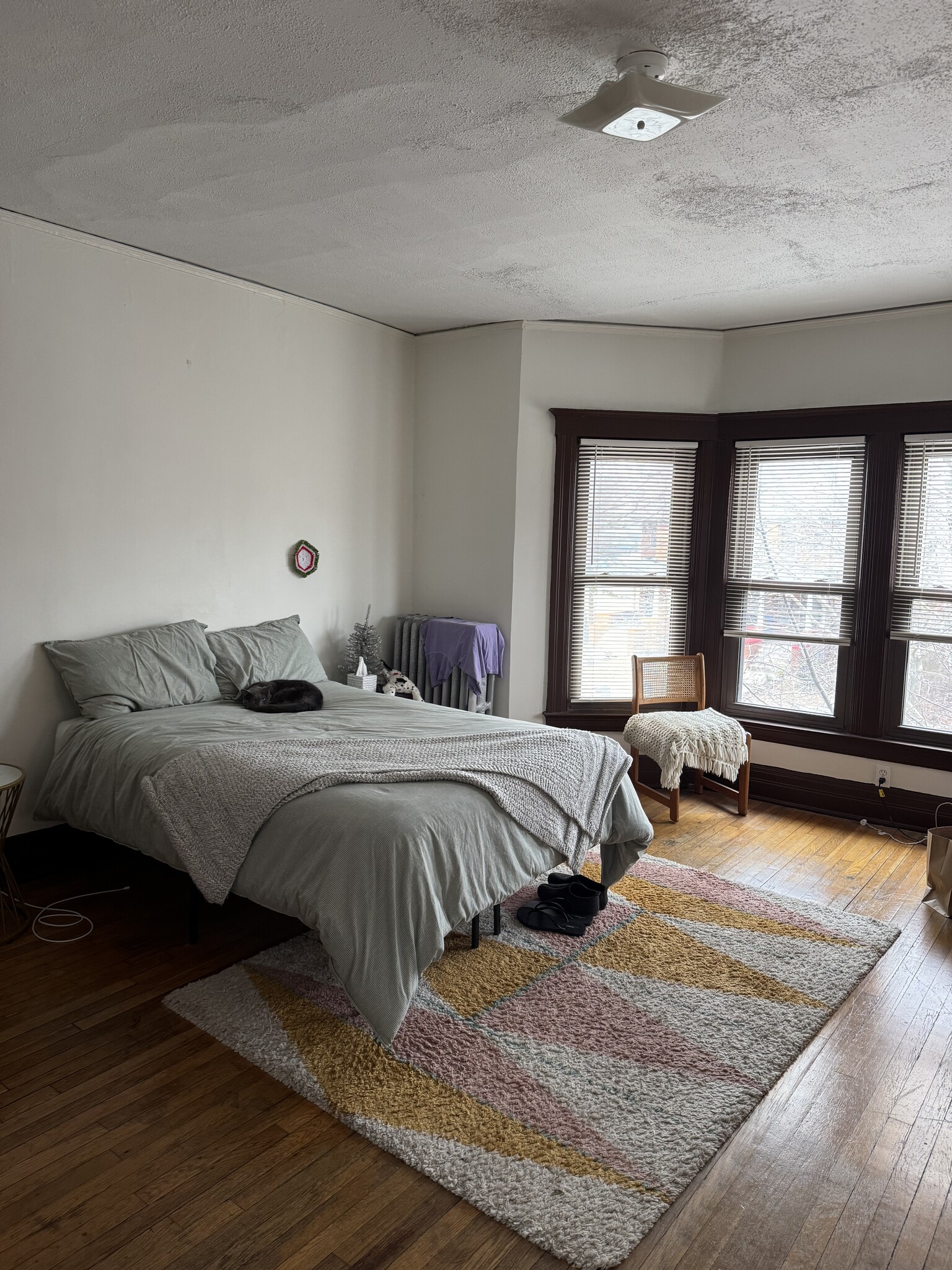 Building Photo - 4431 Commonwealth St