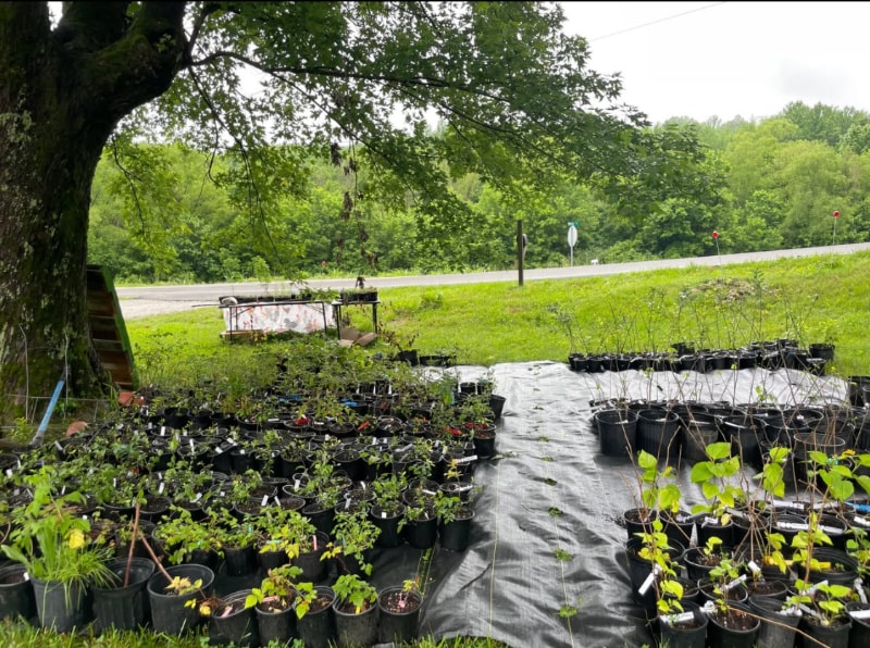 Building Photo - 525 Short Creek Rd