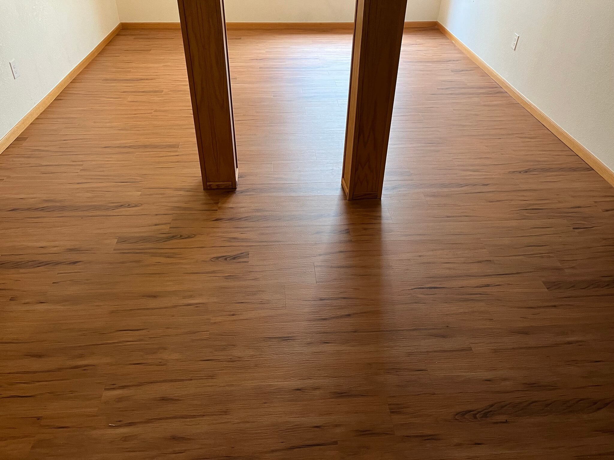 Basement room - 2232 Sweetwater Creek Dr
