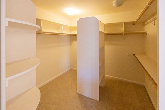 Building Photo - Beautiful home in Bailey Ranch!