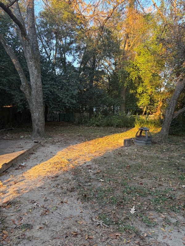 Building Photo - 407 Hemphill St