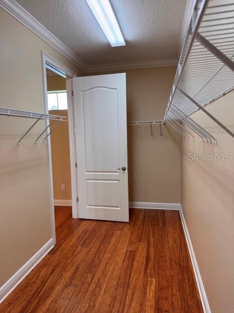 Building Photo - 6803 Lockington Ct