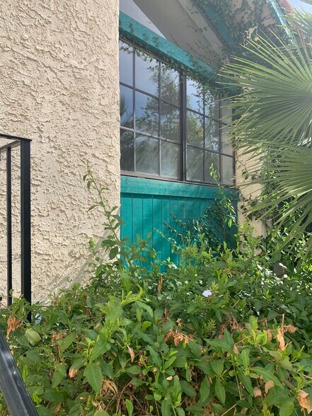 Foliage - 5246 Calderon Rd