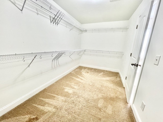 Building Photo - 3125 Breakwater Dr