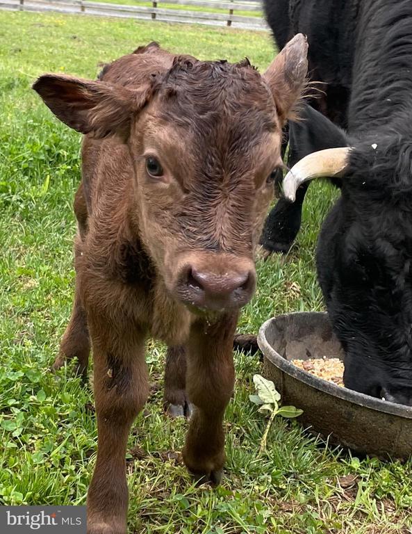 Building Photo - 22887 Hopeful Ln