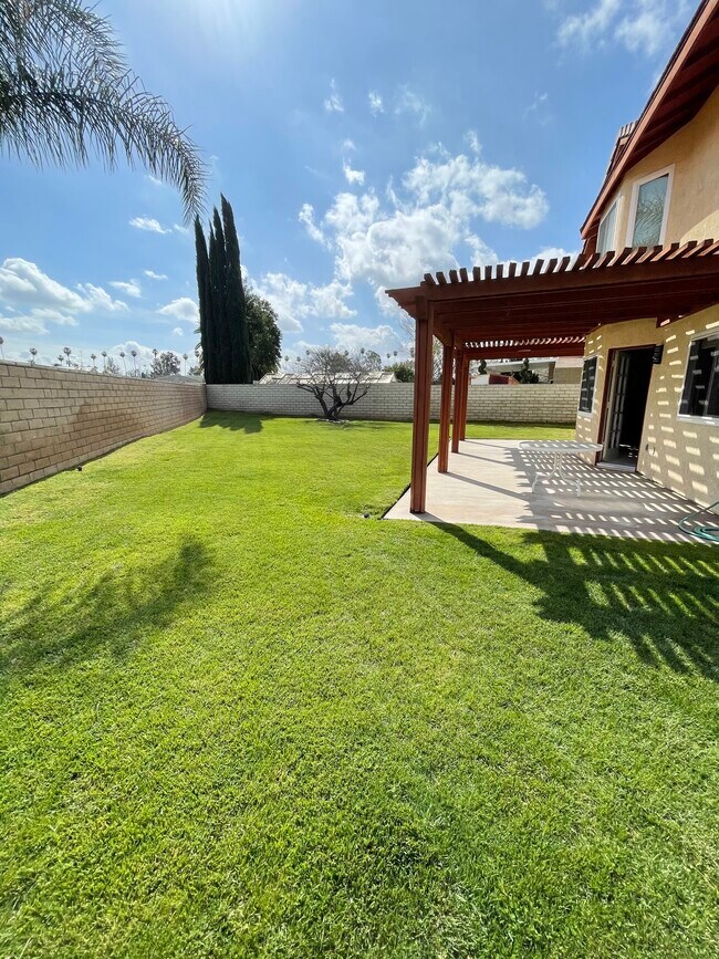 Backyard - 2823 Bragg St