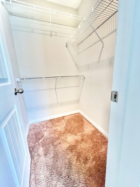 Building Photo - 3035 S Wild Turkey Dr