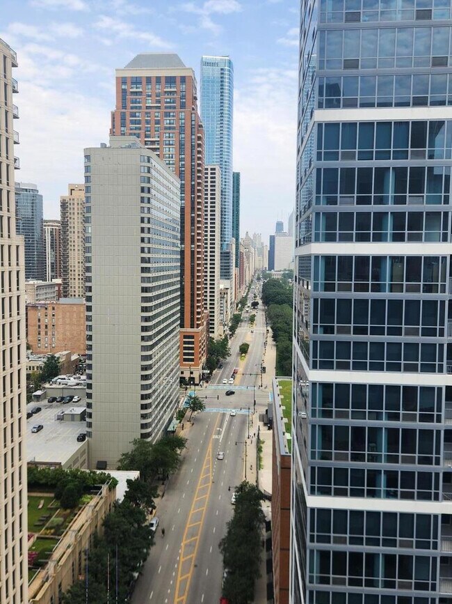 Building Photo - 1305 S Michigan Ave