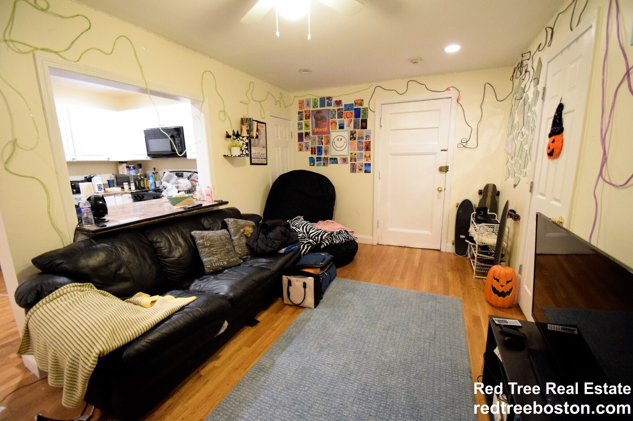 Building Photo - 62 Egmont