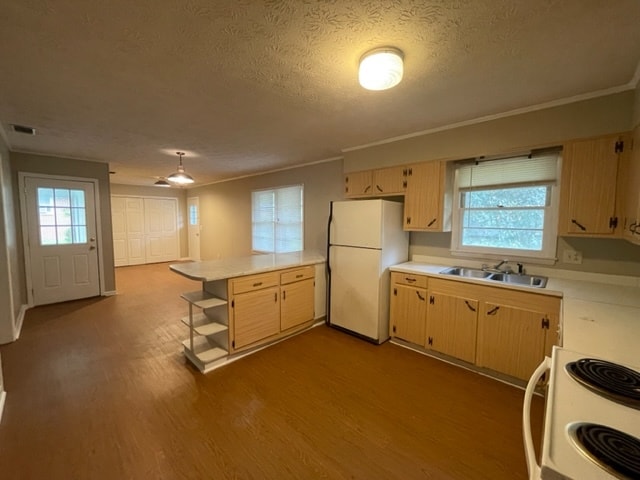Building Photo - 1506 Hall Way