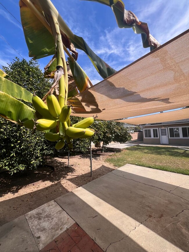 Building Photo - Charming 3-Bedroom Home in Whittier, CA!