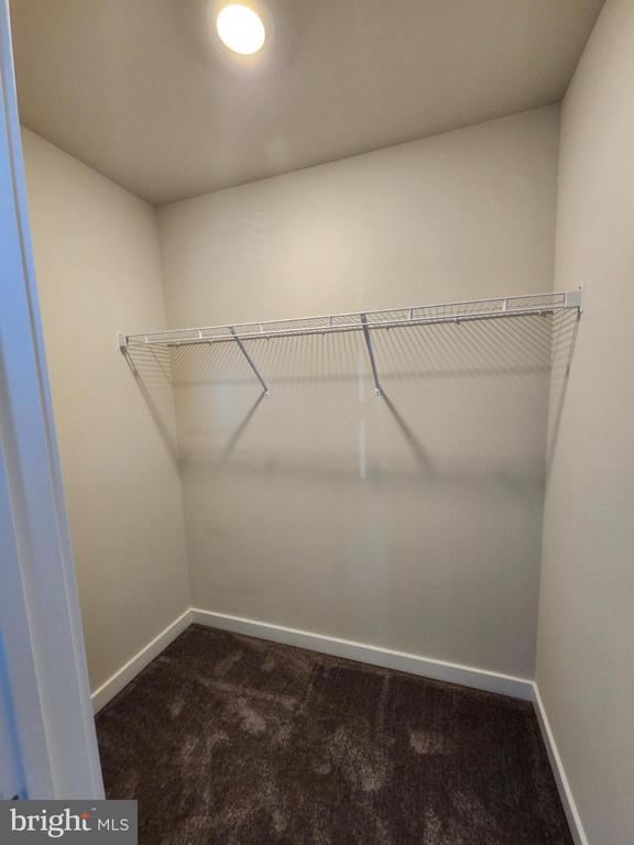 Building Photo - 4901 Brookside Ct