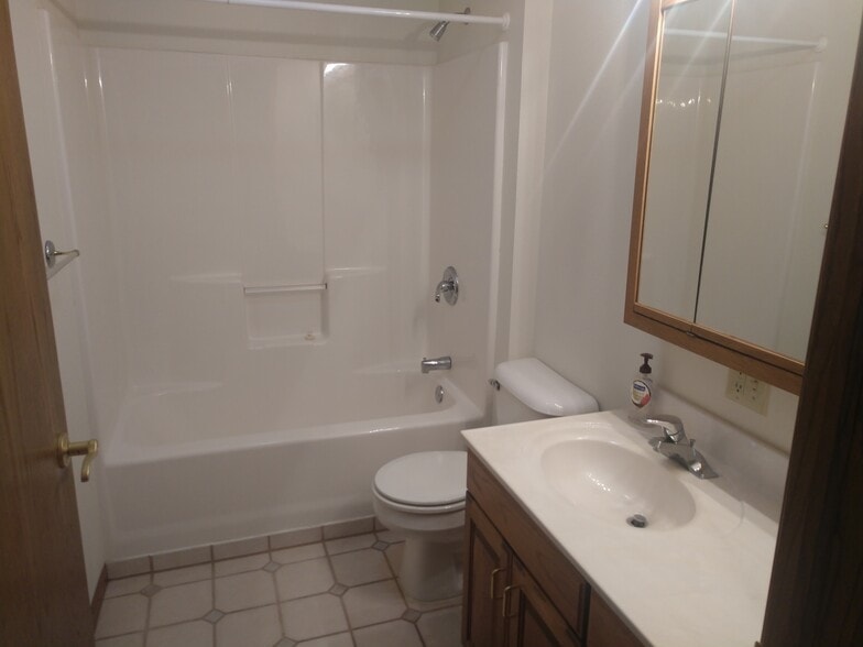 MAIN BATHROOM - 401 E Drake St