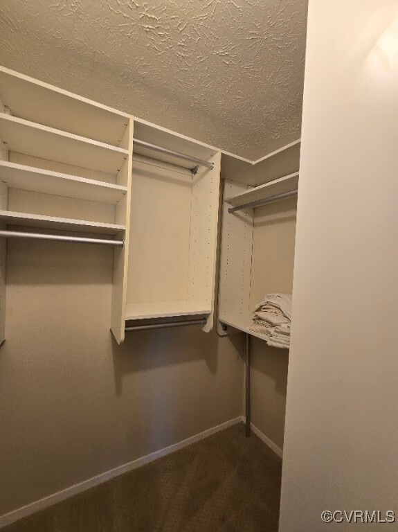 Building Photo - 1503 Regency Woods Rd