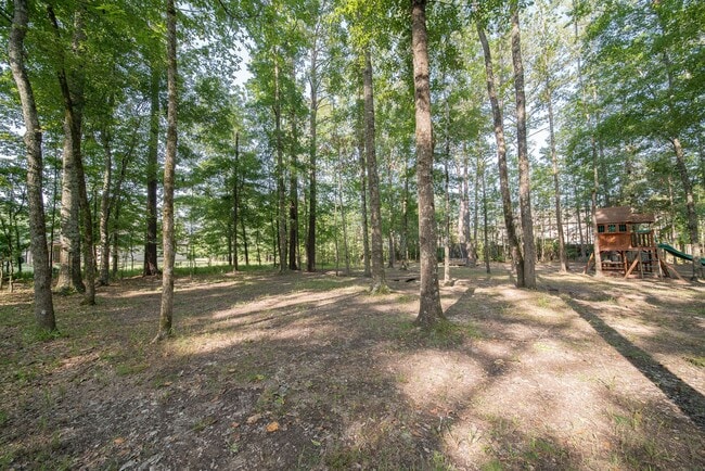 Building Photo - 4 bedroom/3 bath Midland, GA