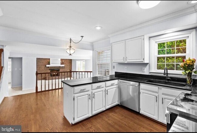 Building Photo - 25 Whittingham Cir