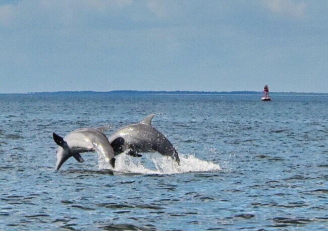 Building Photo - 1004 15th St