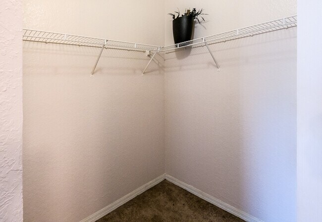 Building Photo - 4142 Central Sarasota Pkwy