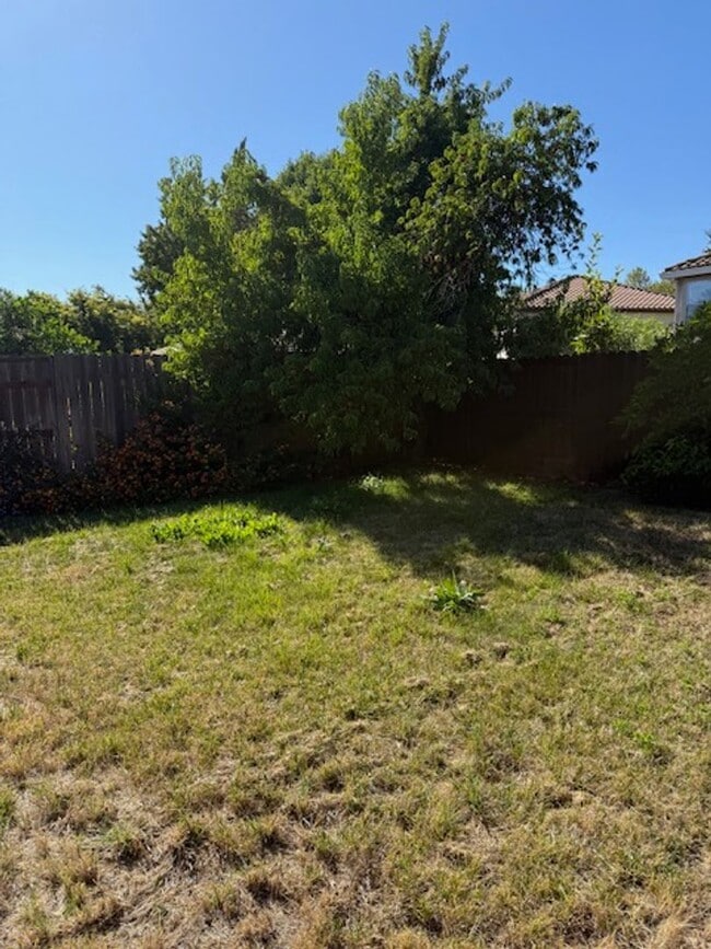 Building Photo - Single Story Halfplex in Natomas