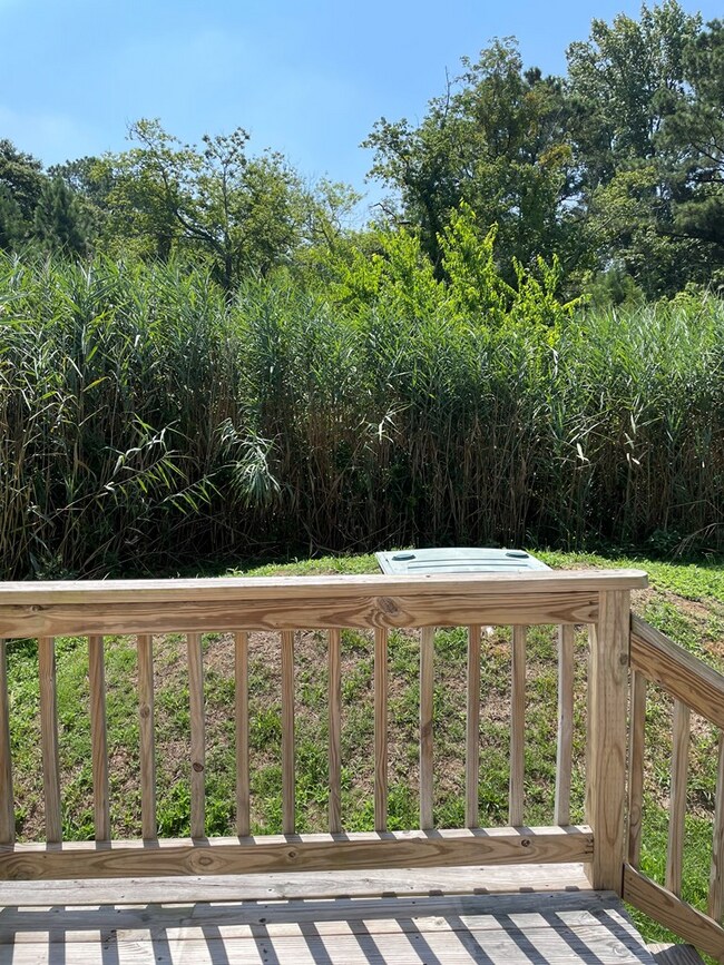 Building Photo - 5164 Main St