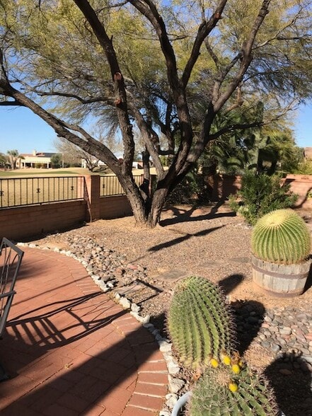 Backyard landscape - 1301 N Mourning Dove Rd