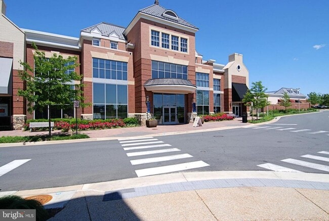Building Photo - 22641 Blue Elder Terrace