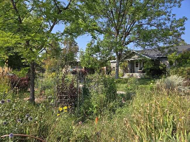 Building Photo - 8 Woodford St