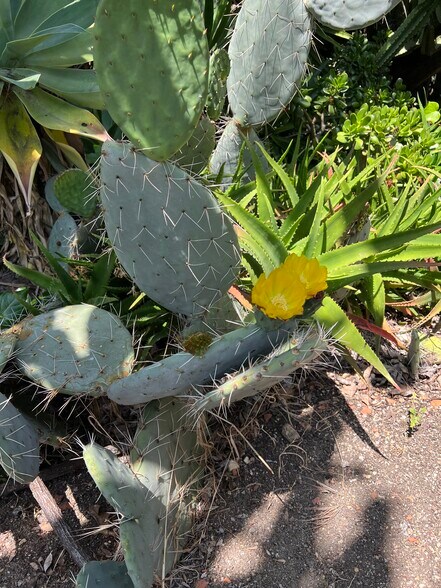 Building Photo - 12 Coach Rd