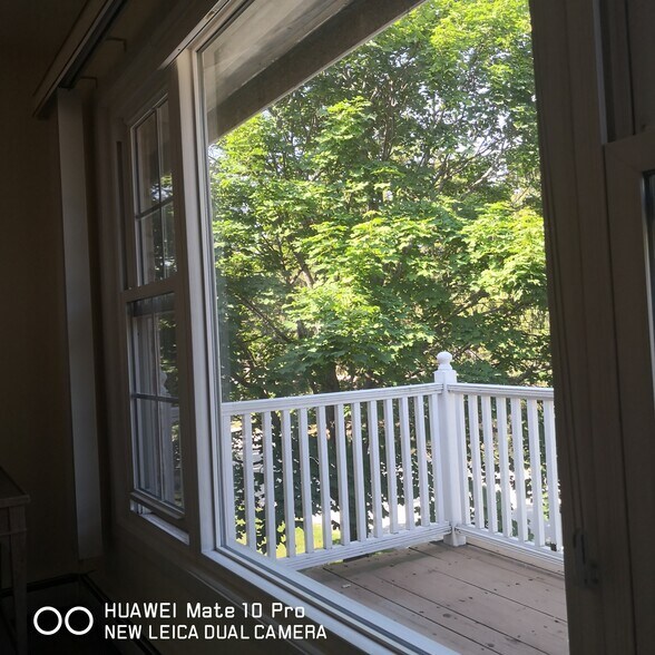 Large Living Room Window - 524 Laurel Lake Rd