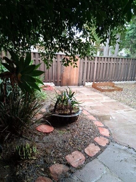 FRONT YARD - 49 Dudley Ave