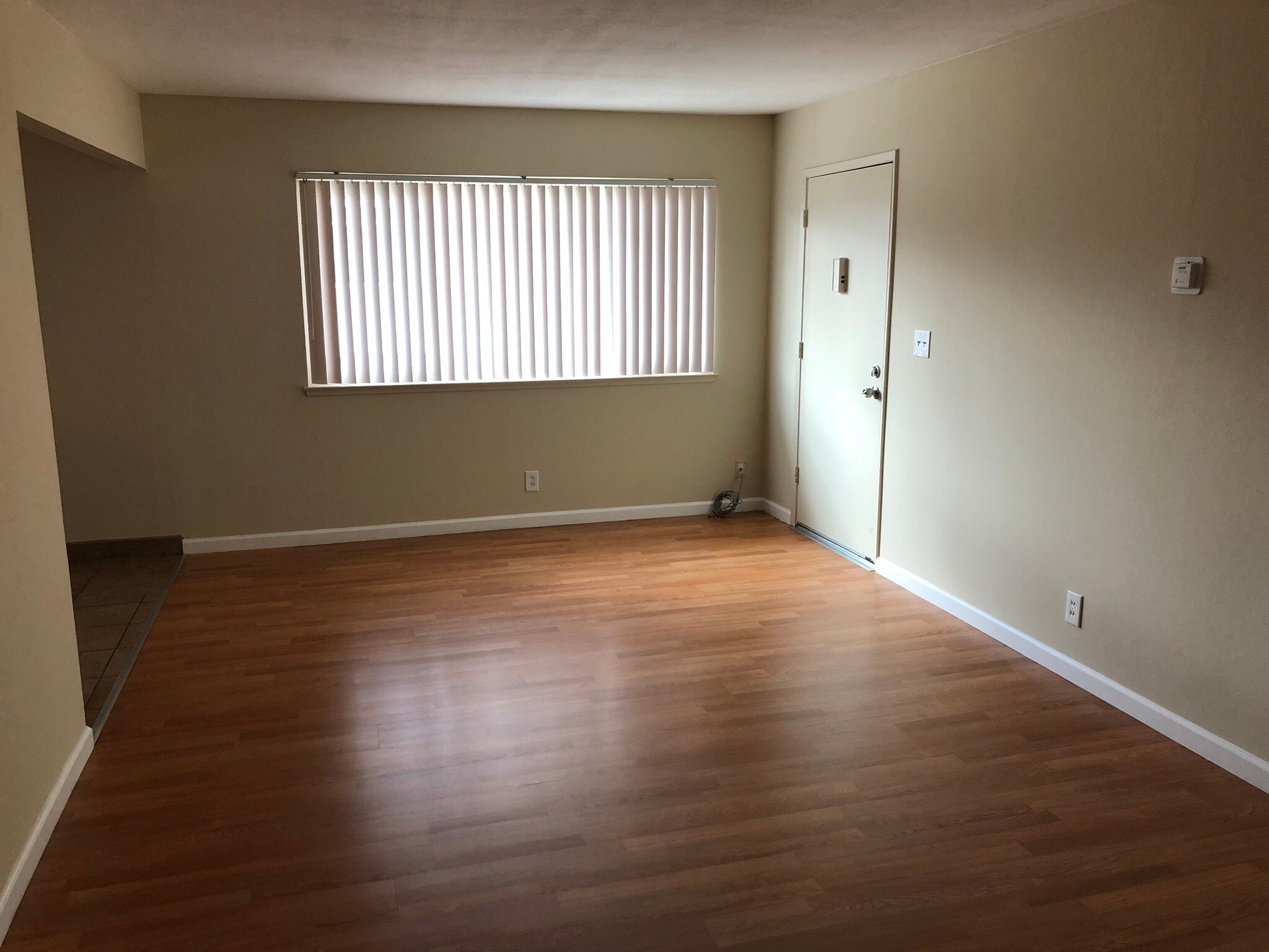 Living Room - 646 Arbutus Ave