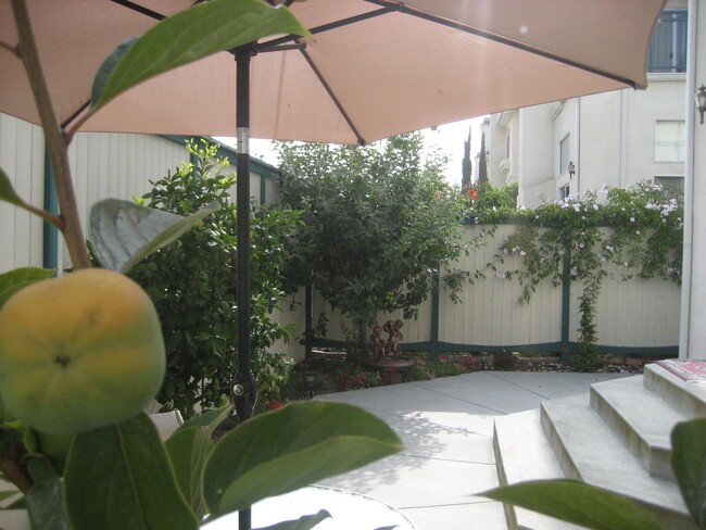 back yard - 4489 Spencer St