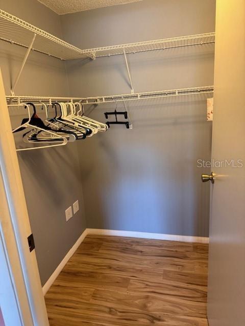 Building Photo - 4022 Beaver Ln