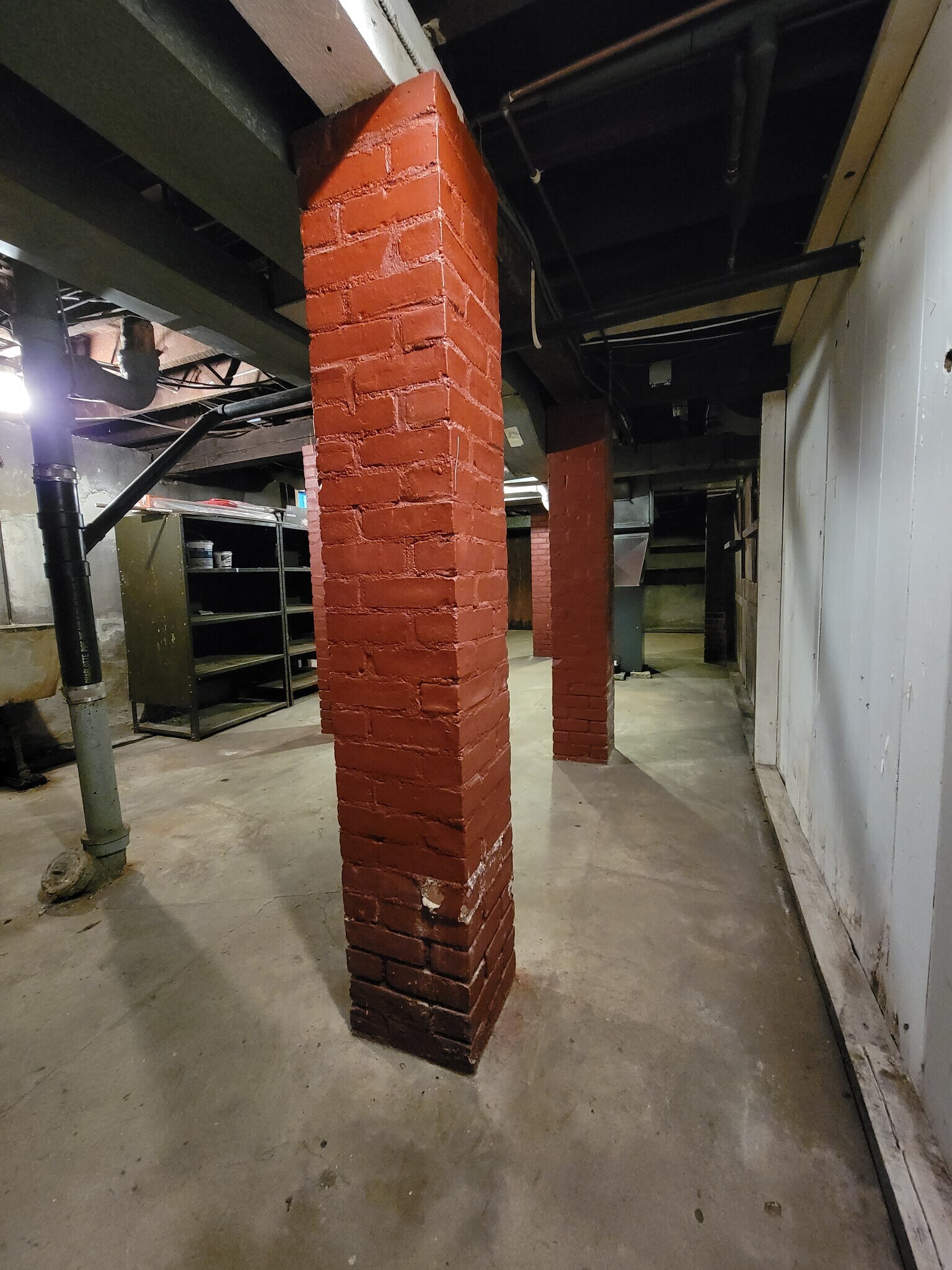 Basement - 27 Walkley Rd