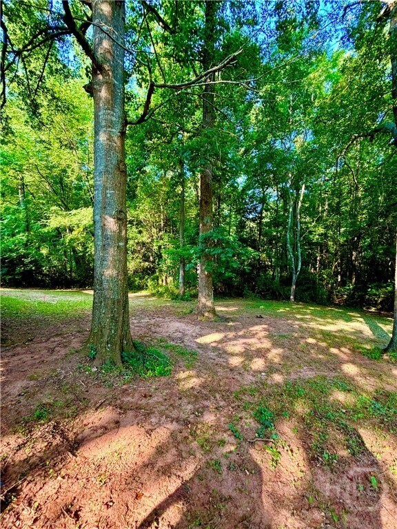 Building Photo - 315 Woodridge Cir