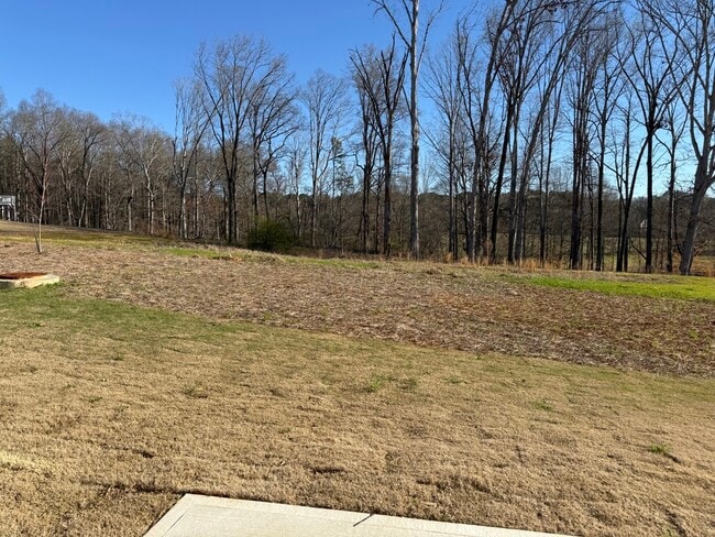 Building Photo - 401 Fox Crk Dr