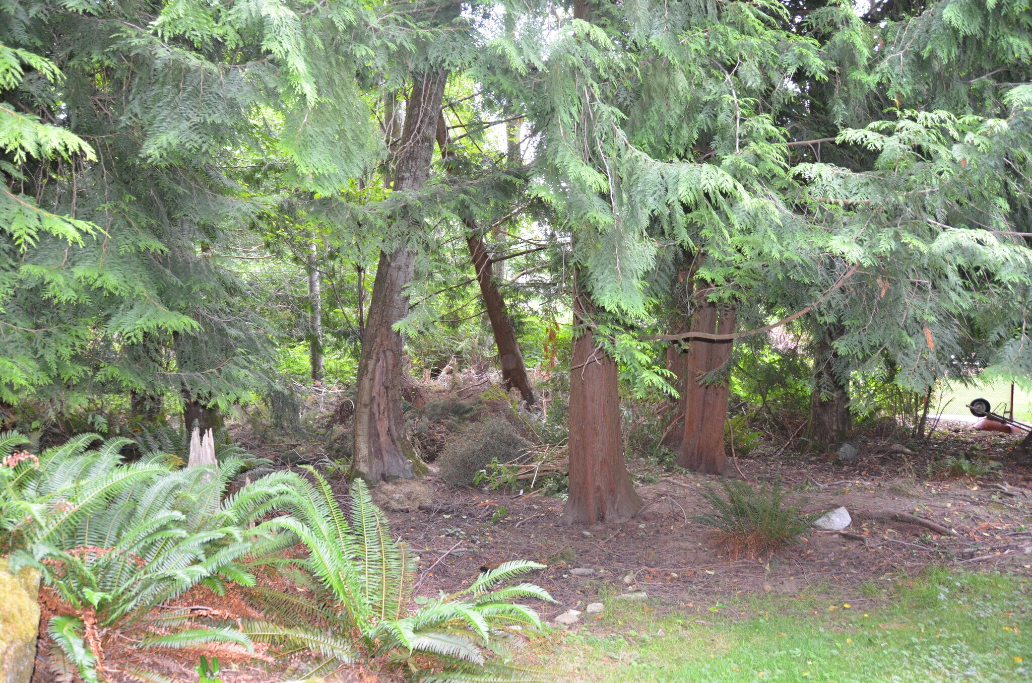 Building Photo - 3700 Beazer