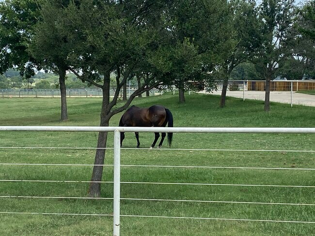 Building Photo - 3729 Bandera Ranch Rd