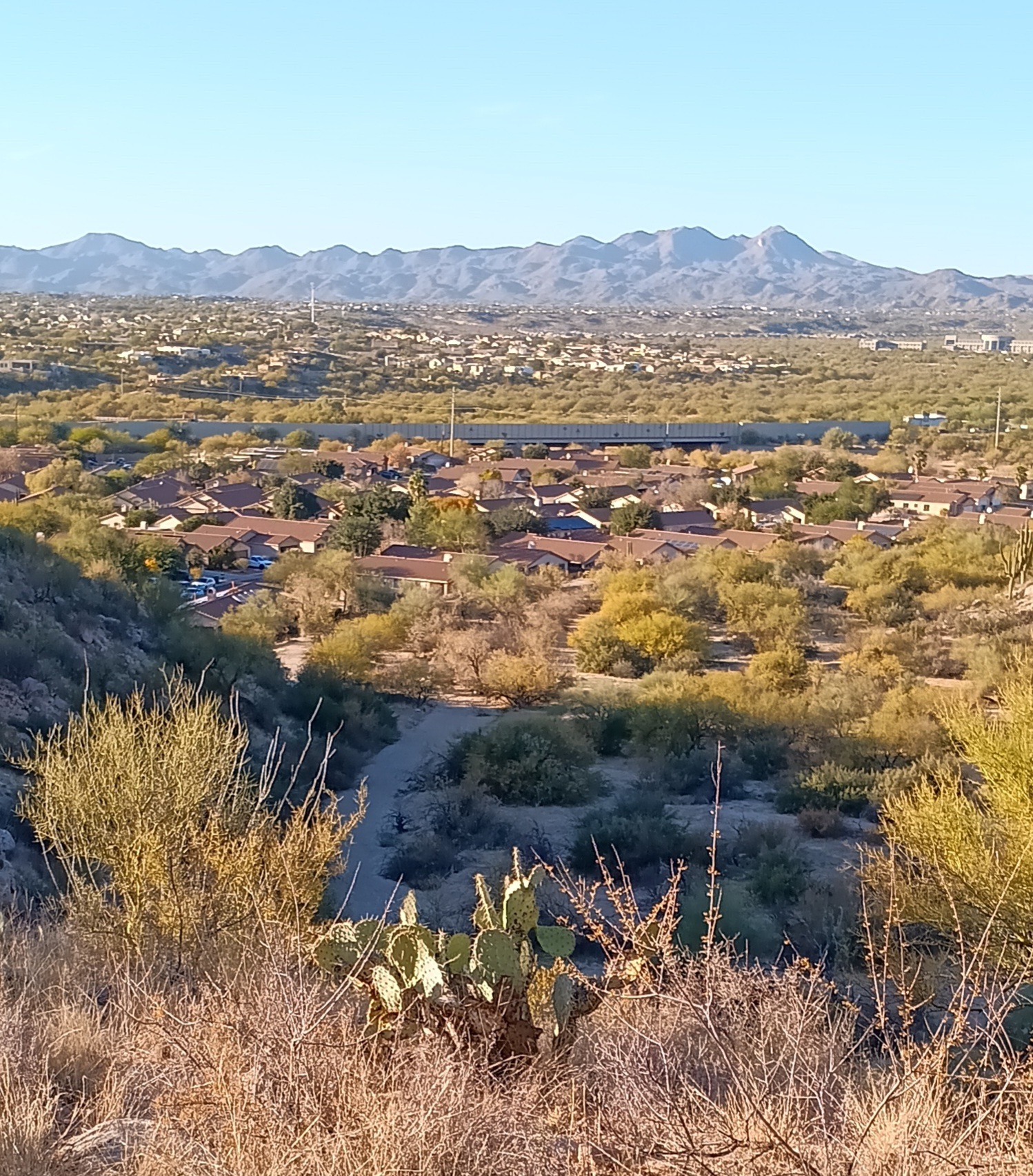 View of neighborhood from canyon trail, trilhead just two blocks from front door! - 2411 E Stone Stable Dr