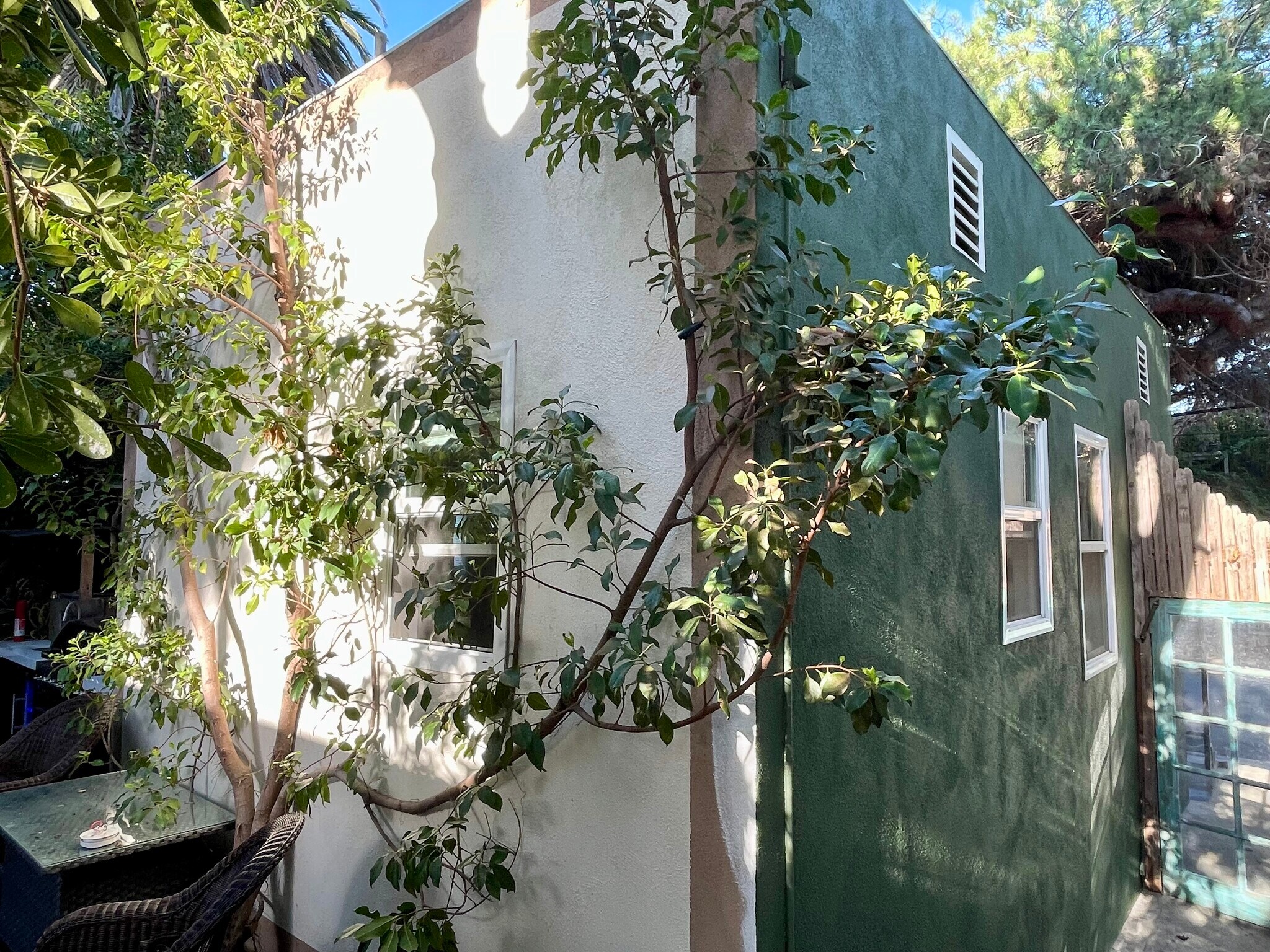 Shared courtyard with four other bungalows - 2918 Pacific Ave