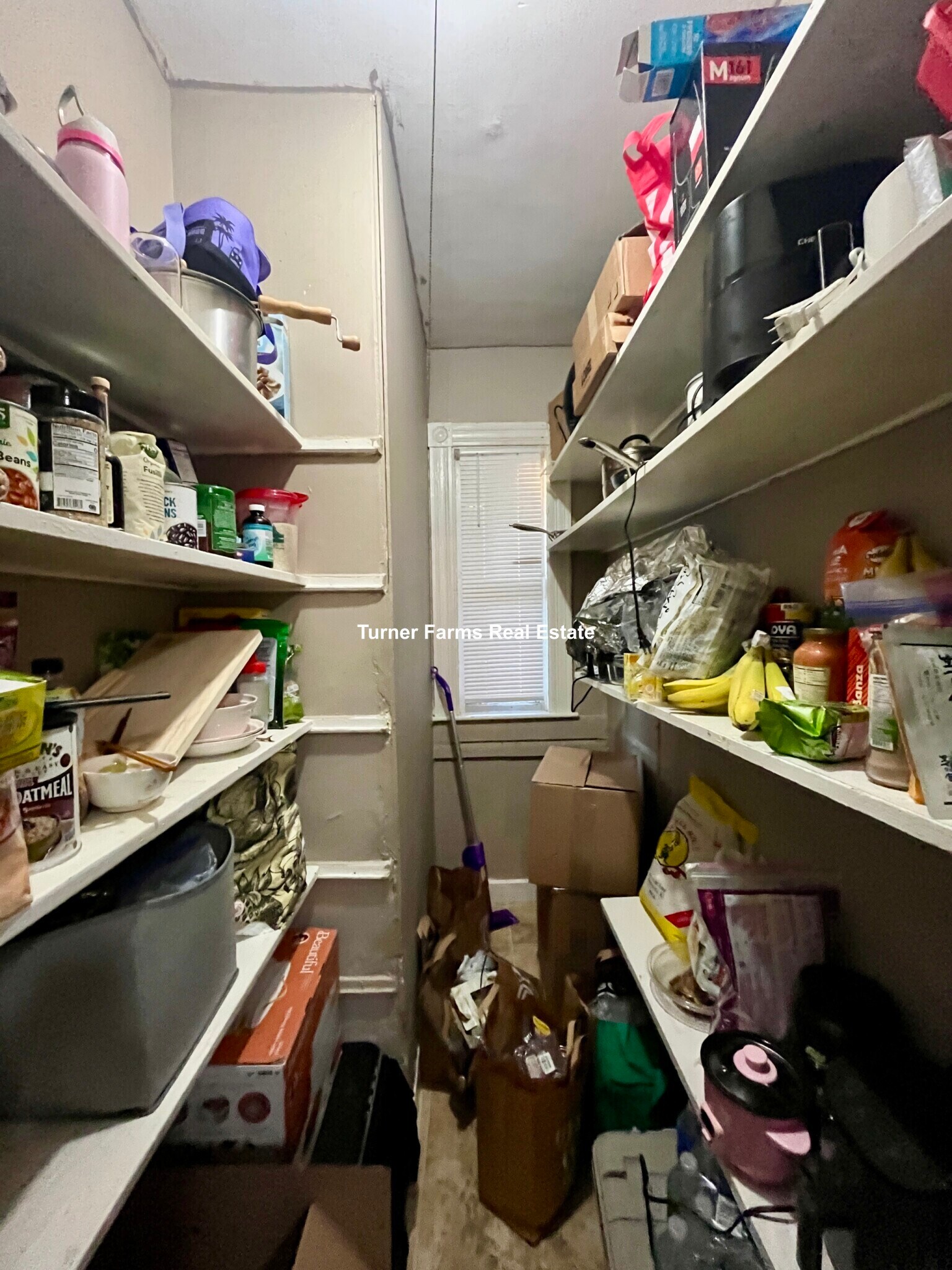 Building Photo - 12 Bucknam St