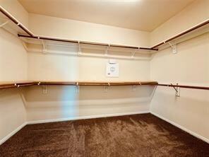 Building Photo - 2804 Appaloosa Ct