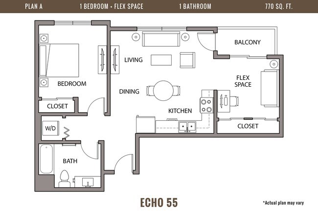 Floorplan - Echo 55