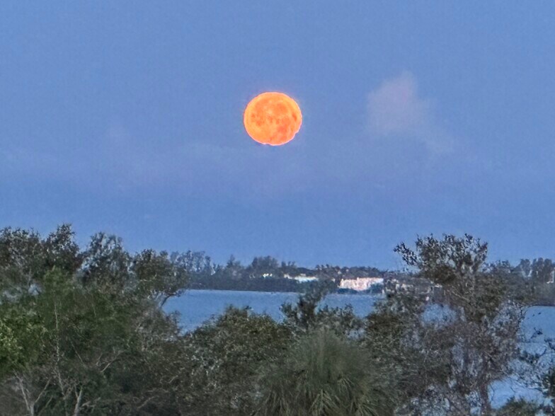 Building Photo - 1188 N Tamiami Trl