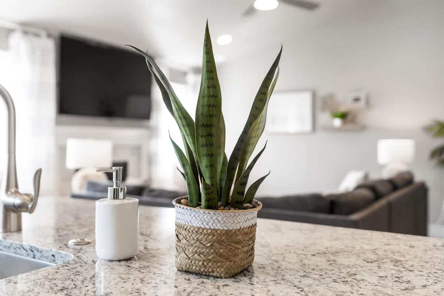 Building Photo - 14549 Tesswater St