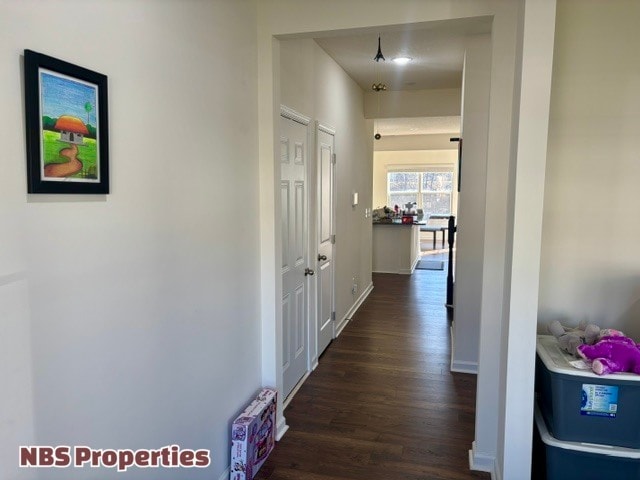 Building Photo - 12020 Spearmint Ln