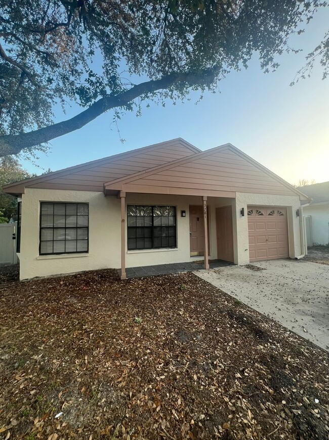 Primary Photo - Pool Home in Palm Harbor